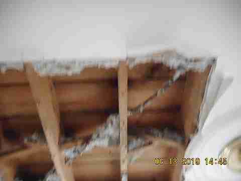 8266 Badger (22)_m.jpg